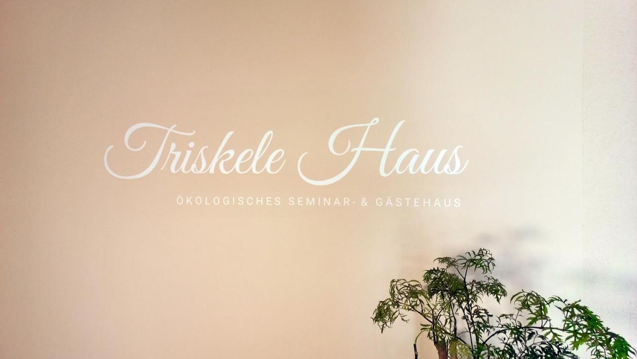 Triskele Haus - Oekologisches Gaestehaus Der Heilstaette Strelitz Neustrelitz Dış mekan fotoğraf